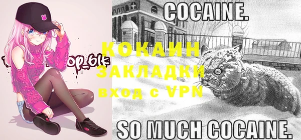 дурь Бородино