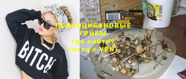 дурь Бородино