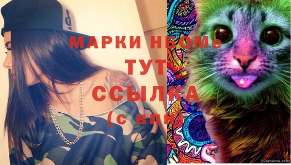дурь Бородино